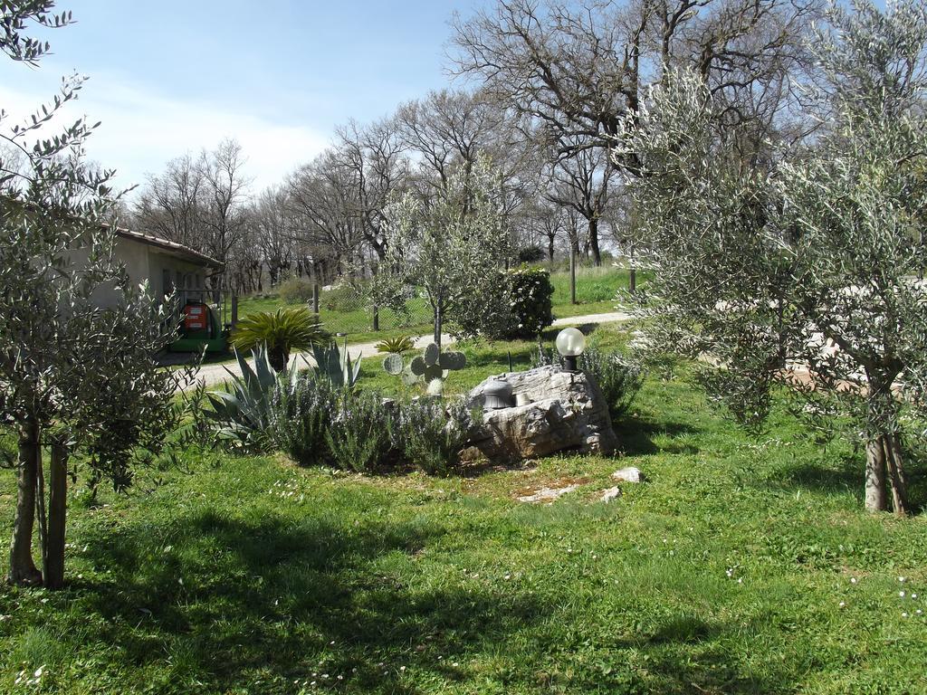 Agriturismo La Conserva Rocchette di Fazio Exterior foto