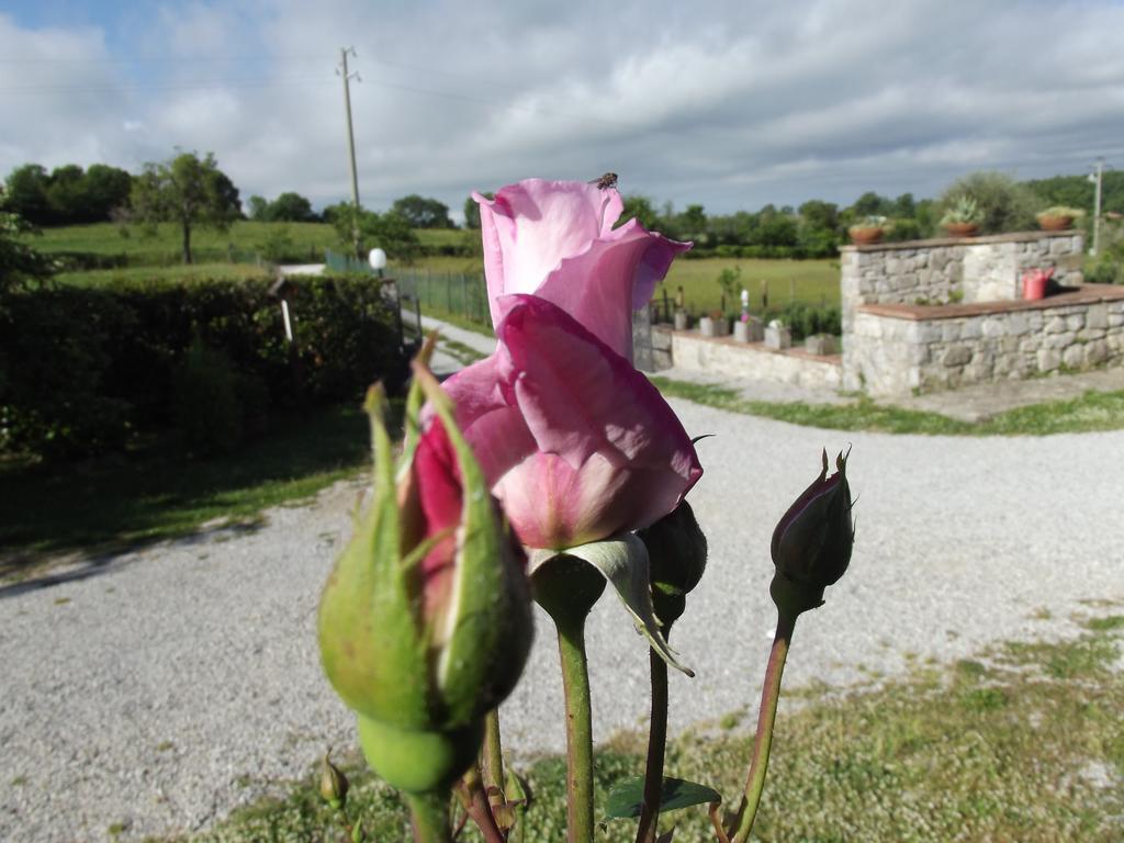 Agriturismo La Conserva Rocchette di Fazio Exterior foto